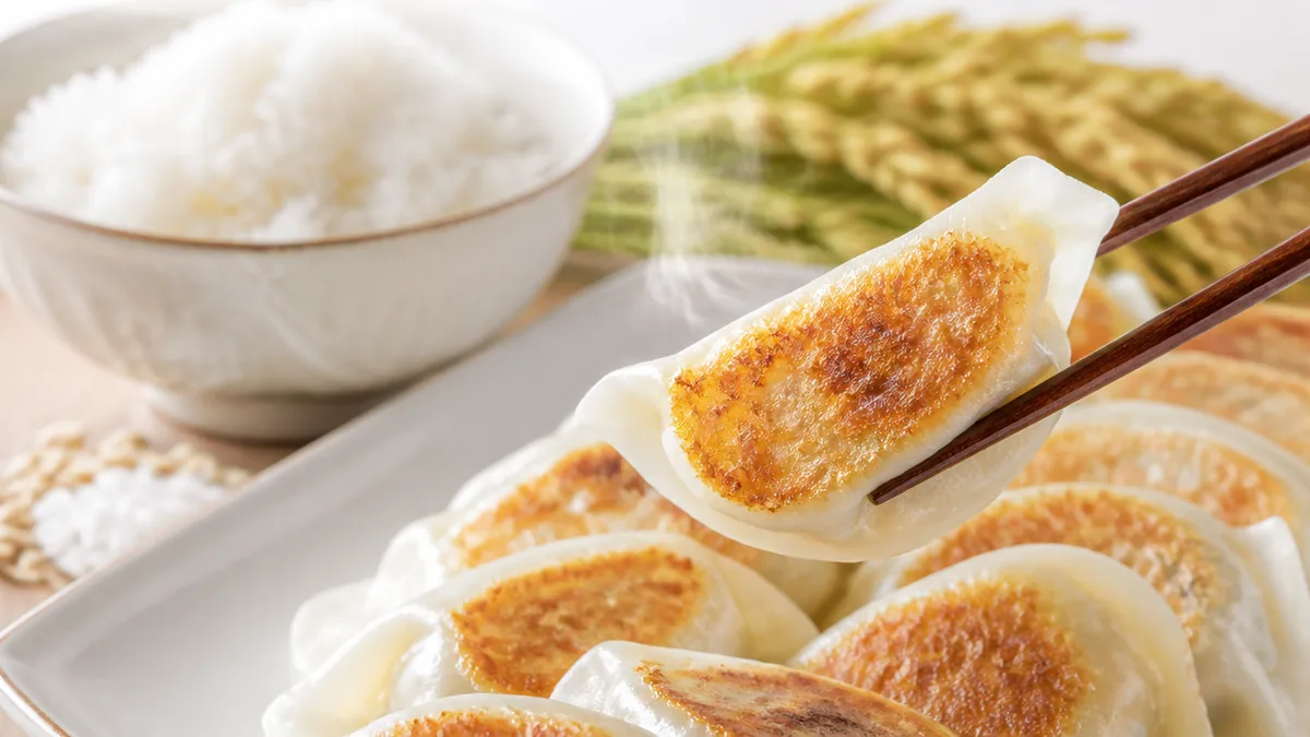 米粉餃子の皮は小麦粉の皮と何が違う？の解説画像